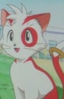 ニャン