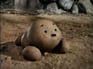 Doggy Poo