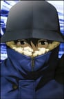 Aoi
