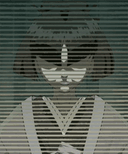 葵