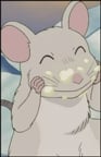 Chicchi