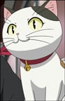 Tama