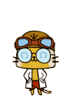 パカセ