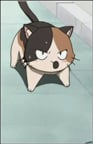 ミケ
