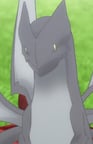 シグムント