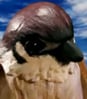 Sparrow 