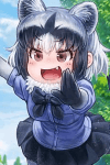 アライグマ