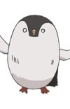 ポチ