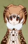ワシミミズク