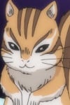 リス