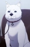 墨田ズシオウマル