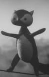 たぬき