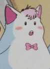 ケシ丸