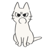 Shikaruneko