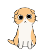 Nakameruneko