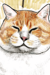 オサム
