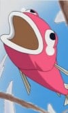 魚吉