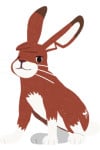 ウサギ崎先輩