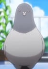 アーノールト ハトニシキ