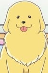 こまち