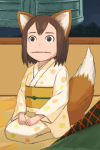 どんぎつね氏
