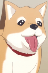 ポピー
