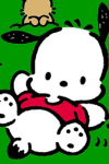 ポチャッコ