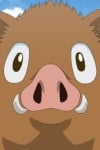 サガラ