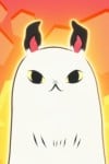 天啓猫