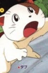 ダブ