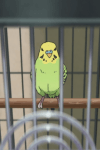 キィ