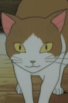 猫のミーコ
