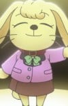 うさぎ