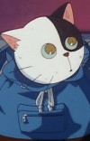 ゴンベエ