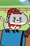猫ジョッキー
