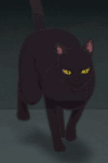 Nora Neko