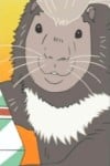 タテガミヤマアラシ