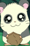 パンダくん
