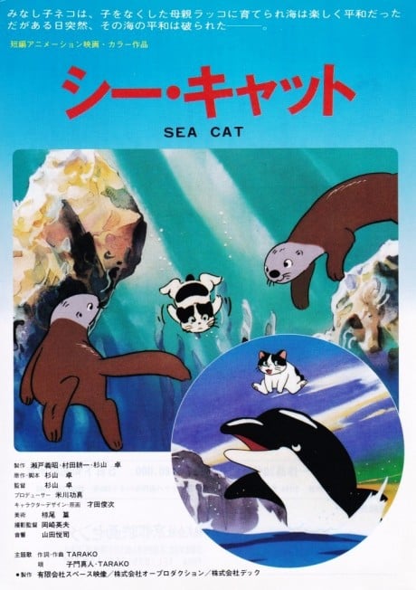 海貓