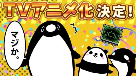 Teiko Penguin