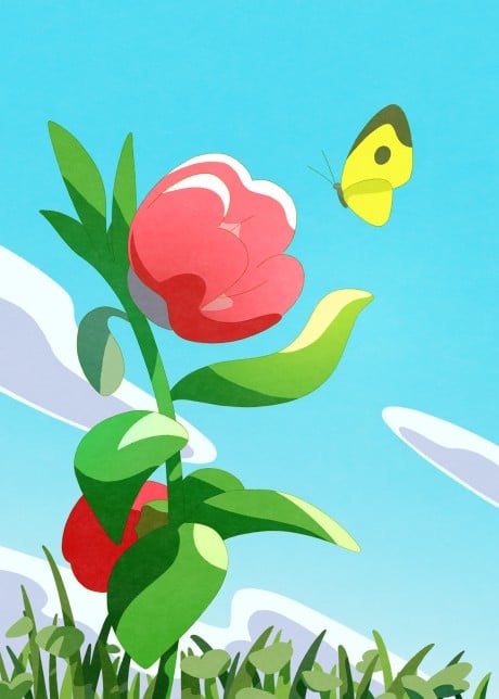 鳳仙花