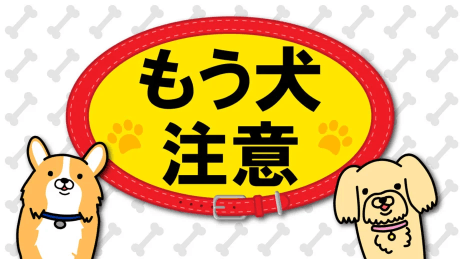 福音戰士新劇場版：序