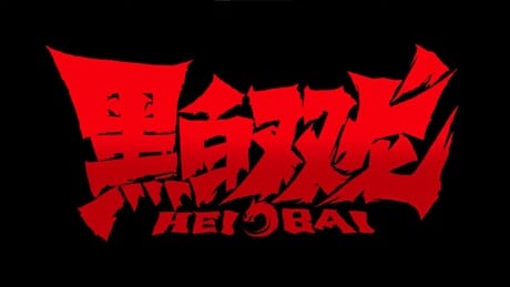 黑白双龙