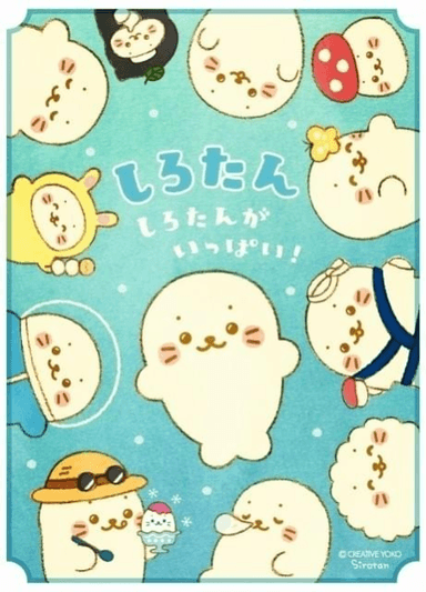 海豹小白