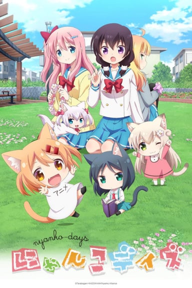 猫咪日常