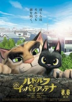 黑猫鲁道夫