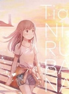 ニルバナ