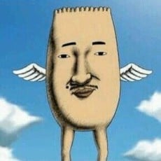 解脱了的光子