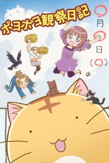 嘟嘟貓觀察日記