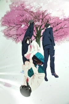桜の温度